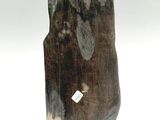 a rock with a tag on it sitting on a white surface