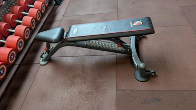 a bench that is next to a row of dumb dumbs