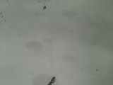 a small bird that is standing in the water