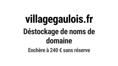 Nom de domaine villagegaulois.fr.