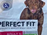 un sac de croquettes « Perfect Fit » avec un chien qui tire la langue
