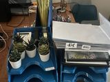 un bureau sur lequel sont posées plusieurs plantes