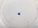 a white plate with a blue flower on it