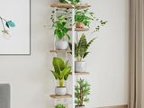 a plant stand in the corner of a living room