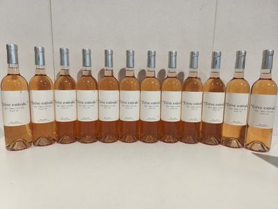 12 Bouteilles Rosés « Trêve estivale » 2024, auteurs : Stéph…