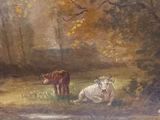 two cows that are standing in the grass by the water
