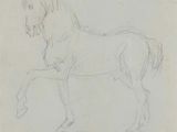 drawing of a horse with a long mane and a long tail