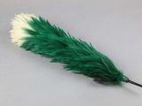 a green and white feather that is laying on a table