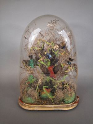 une cloche en verre contenant un oiseau