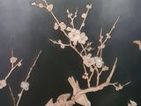 a bird that is sitting on a branch of a tree