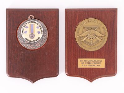 two plaques of medals on a wooden plaque on a white background