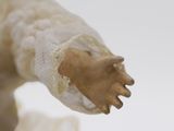 a close up of a statue of a hand with a bandage on it