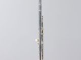 a silver flute on a clear stand with a white background