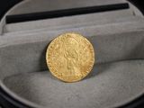 une pièce d'or posée dans une boîte contenant un stylo