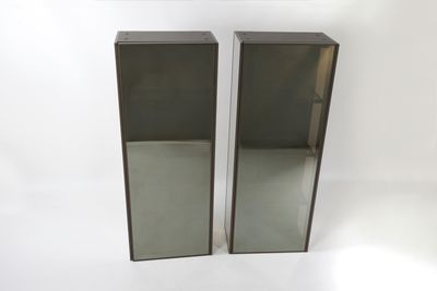 paire de miroirs jumelés avec cadre métallique et panneaux en verre