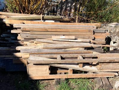 un tas de bois posé par terre près d'un arbre