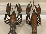 two lobsters that are sitting on a table