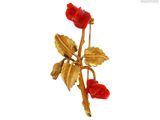 une broche en forme de fleur dorée et rouge sur fond blanc