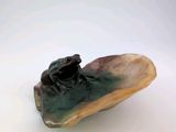 une petite grenouille assise sur une coquille de palourde