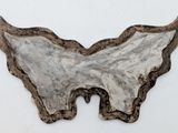 an image of a piece of metal with a large wing on it