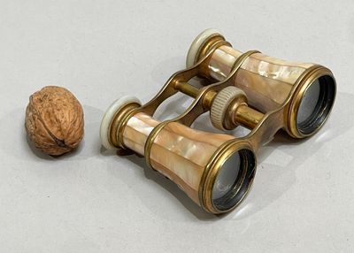two binoculars sitting next to a walnut on a table