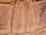 a close up of a large stone vase with designs on it