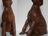 two pictures of a brown dog sitting next to each other