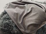 a teddy bear with a blanket on it ' s back