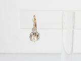 an image of a pair of earrings on a clear stand