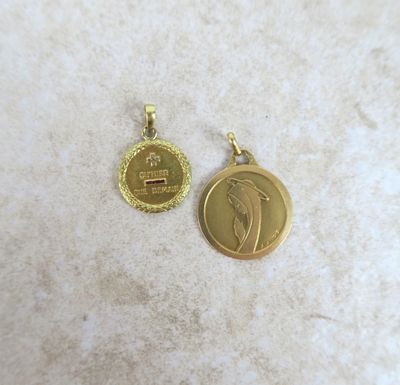 two gold coins with a picture of a horse on them