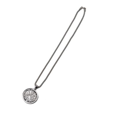 a necklace with a coin on a chain on a white background