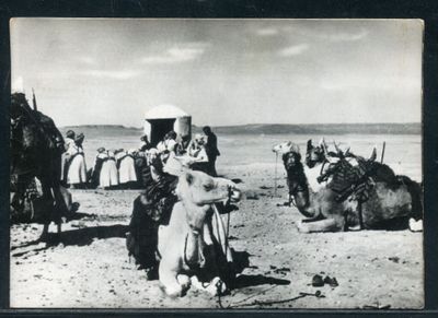 a black and white photo of a group of people riding camels