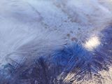 a close up of a frosty surface with blue and white colors