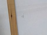 a picture of a piece of wood that is on a table