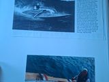 Photo 36/41 du lot
