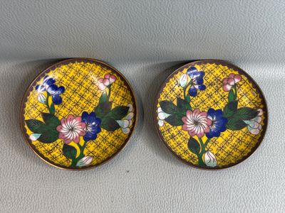 deux fleurs jaunes et bleues sont posées sur une surface blanche