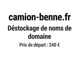 Photo 1/1 du lot