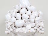 un vase blanc contenant un bouquet de fleurs blanches