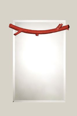 une image représentant un miroir auquel est suspendue une branche sur le côté