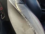 a picture of a car seat with a dog in it ' s lap