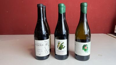 trois bouteilles de vin posées sur une table, avec un mur rouge en arrière-plan