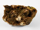 a rock with moss growing on it on a white surface