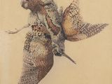 drawing of two birds in flight with a branch in the foreground