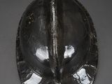 an image of a black helmet on a gray surface