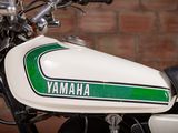 a close up of a motorcycle with a green and white stripe