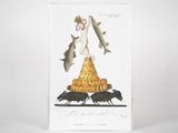 an image of a picture of a cat and a bird on a pile of food