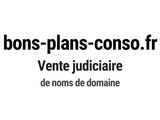 Photo 1/1 du lot