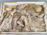 une boîte remplie de nombreux cristaux blancs posée sur une table