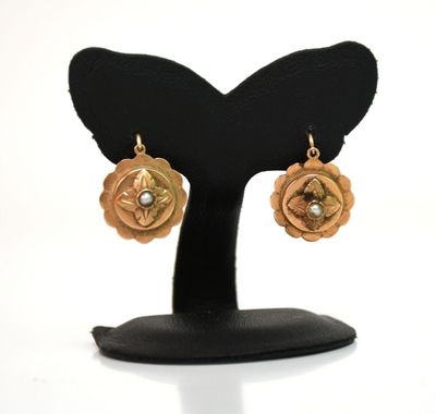 gros plan d'une paire de boucles d'oreilles sur un support
