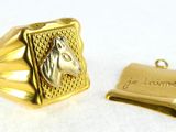 an image of a gold ring with a horse head on it